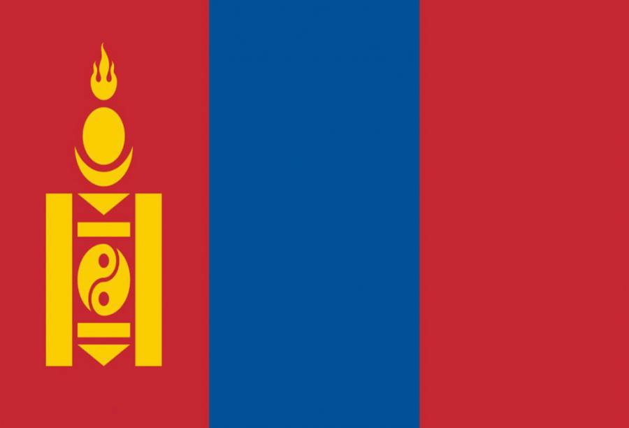 蒙古旅游签证（加急）